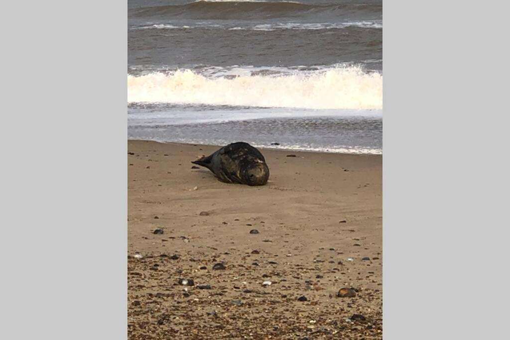 Dog Friendly Cottage 2 Mins To Beach With Hot Tub And Zappi Ev Lessingham Luaran gambar